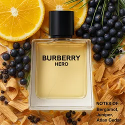 Burberry Hero EDP